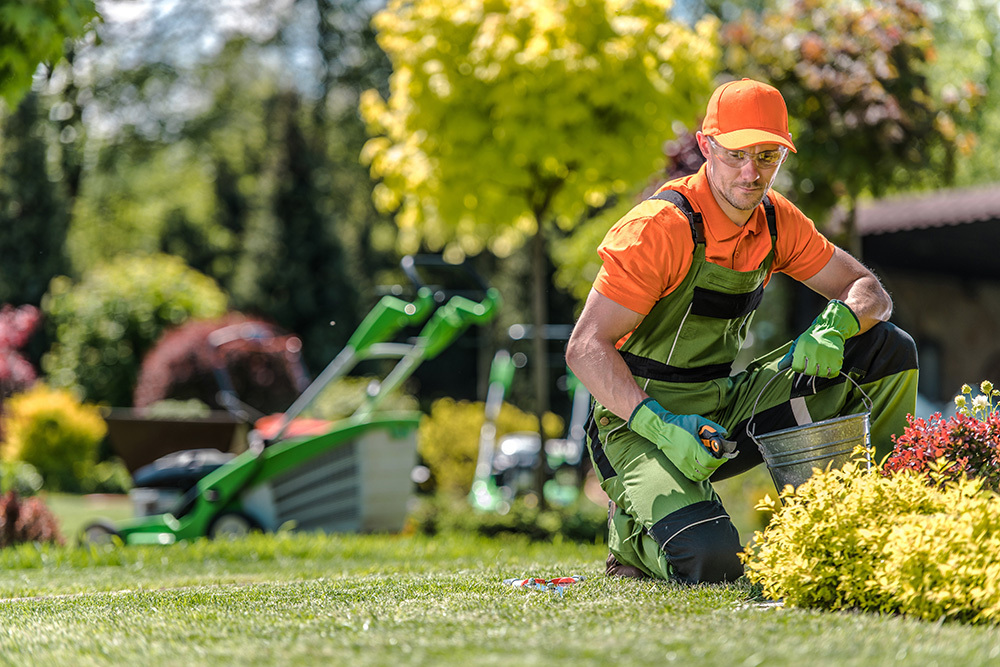 Professional Caucasian Gardener