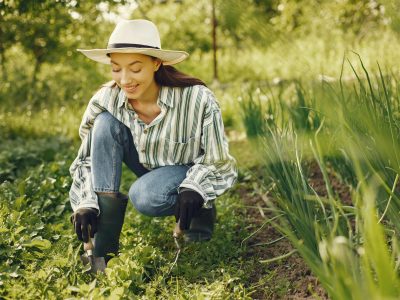 Gardener